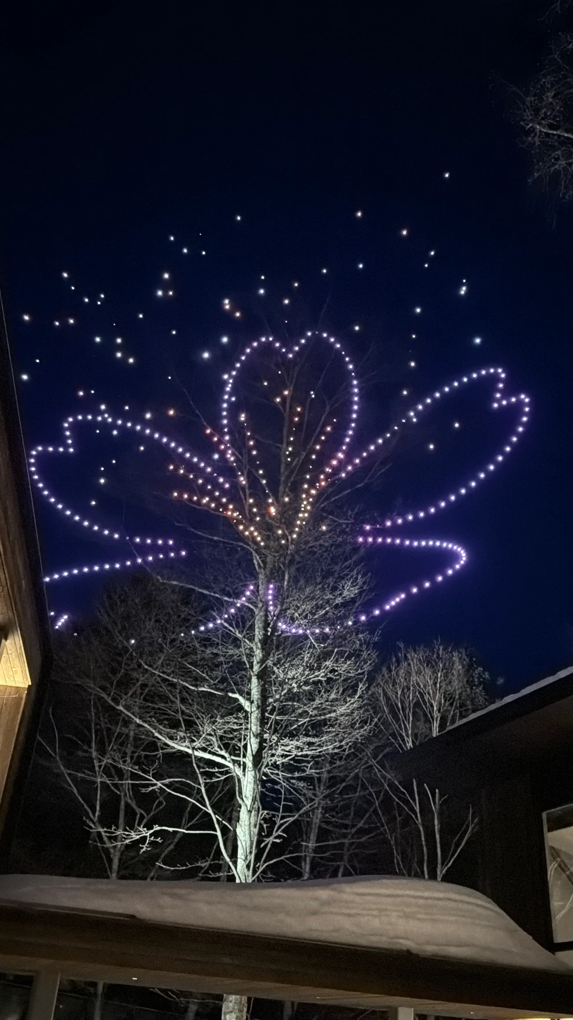 夜空に花びらの形を描く無数のドローンの光。雪の木々が映り込む幻想的な光景