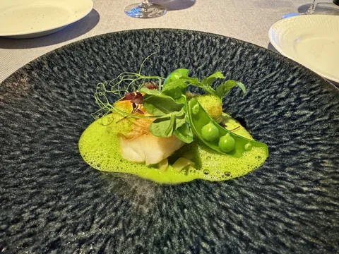 bbb hausのフィッシュコース。白身魚と鮮やかなグリーンソース、黒い器が美しい一皿