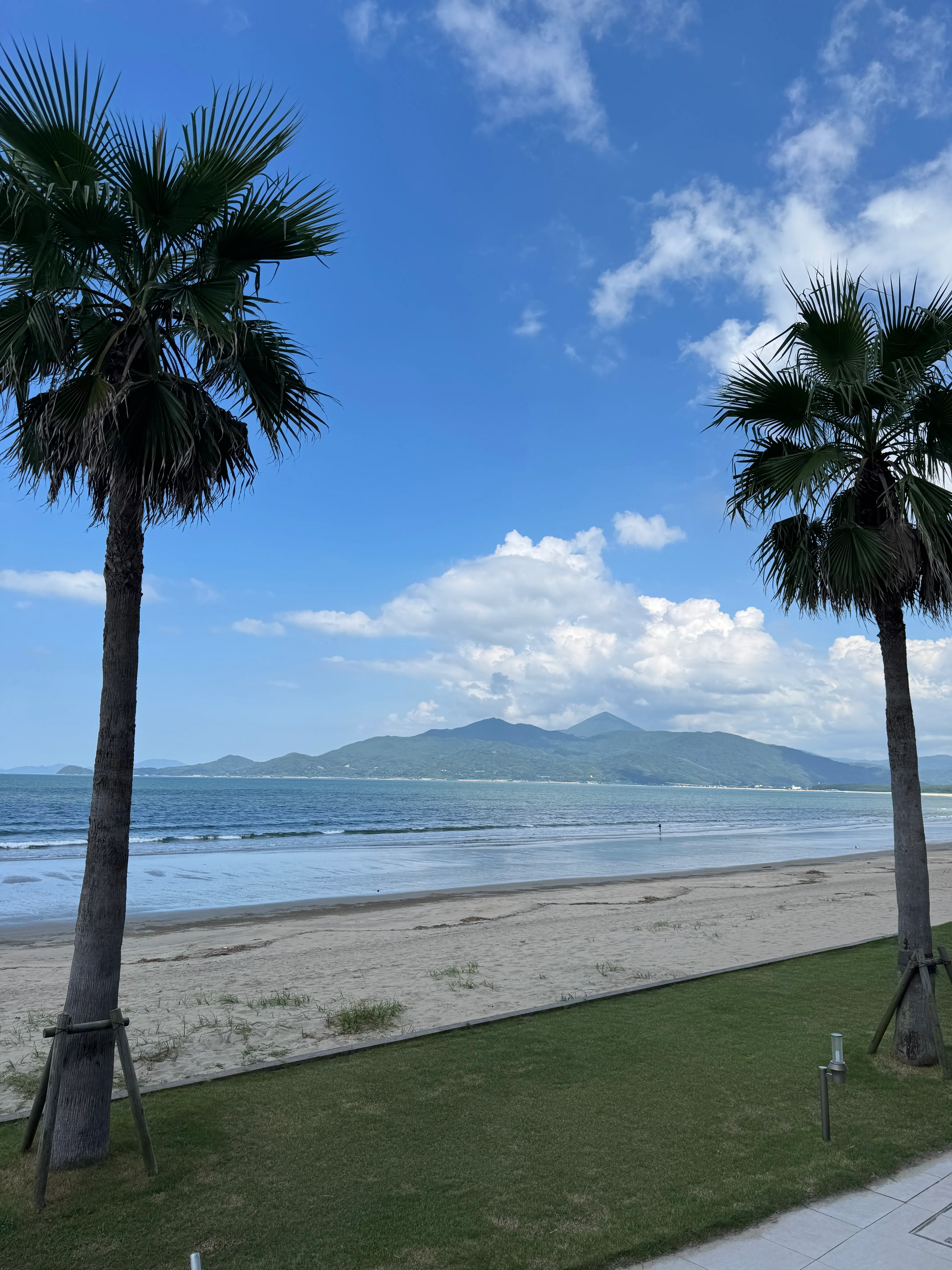 ヤシの木と唐津のビーチ。青空と雲の下、砂浜と海が広がるリゾート感ある風景