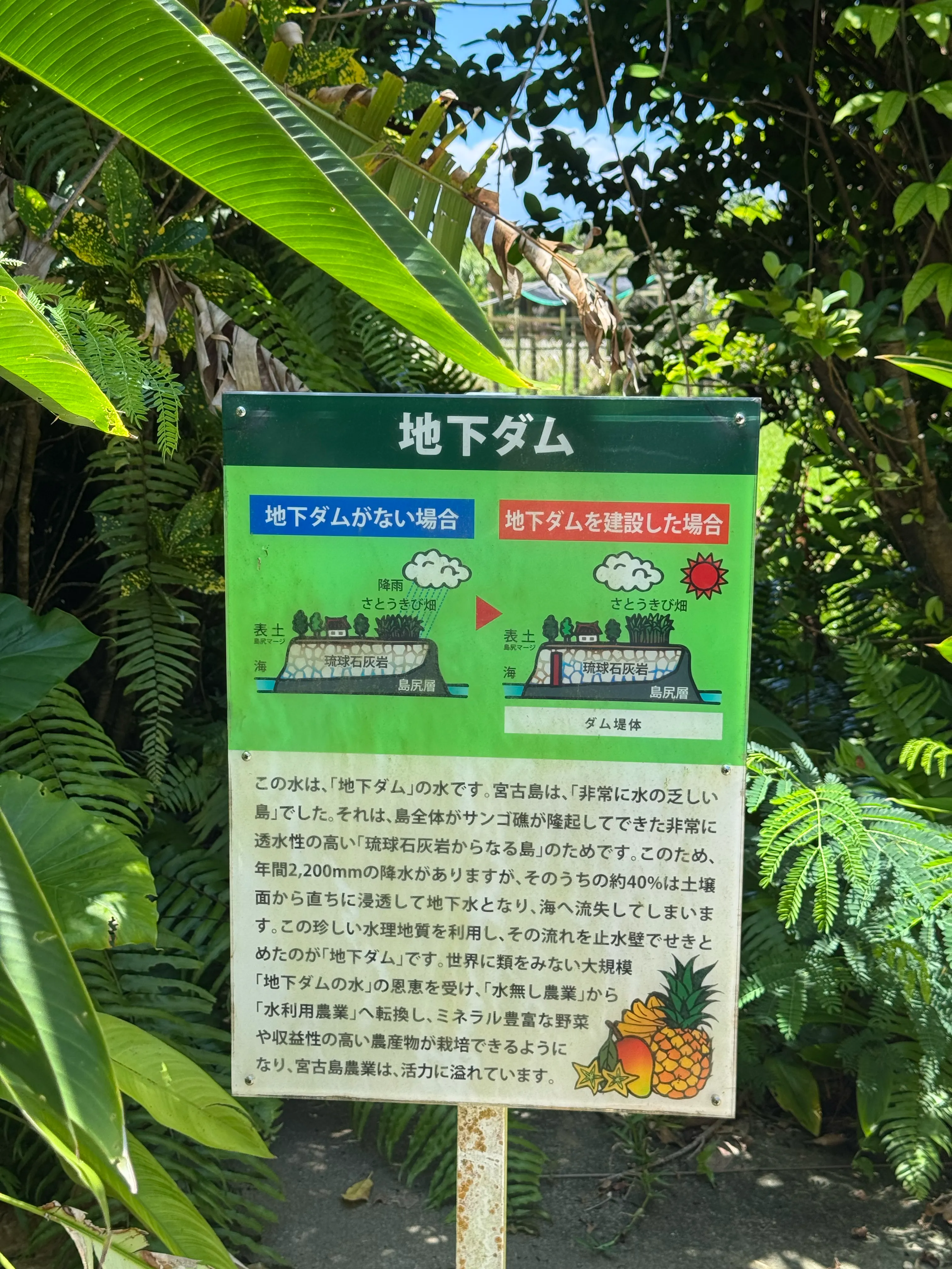 地下ダムの仕組みを解説した展示看板。「地下ダムがない場合」との比較図付き