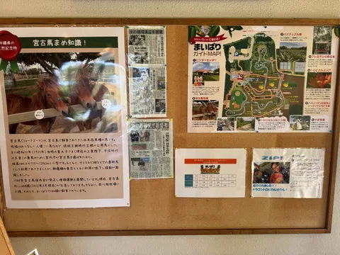まいぱり宮古島熱帯果樹園｜シャトルバスで行ける、泡盛試飲と地下ダム学習の緑の園