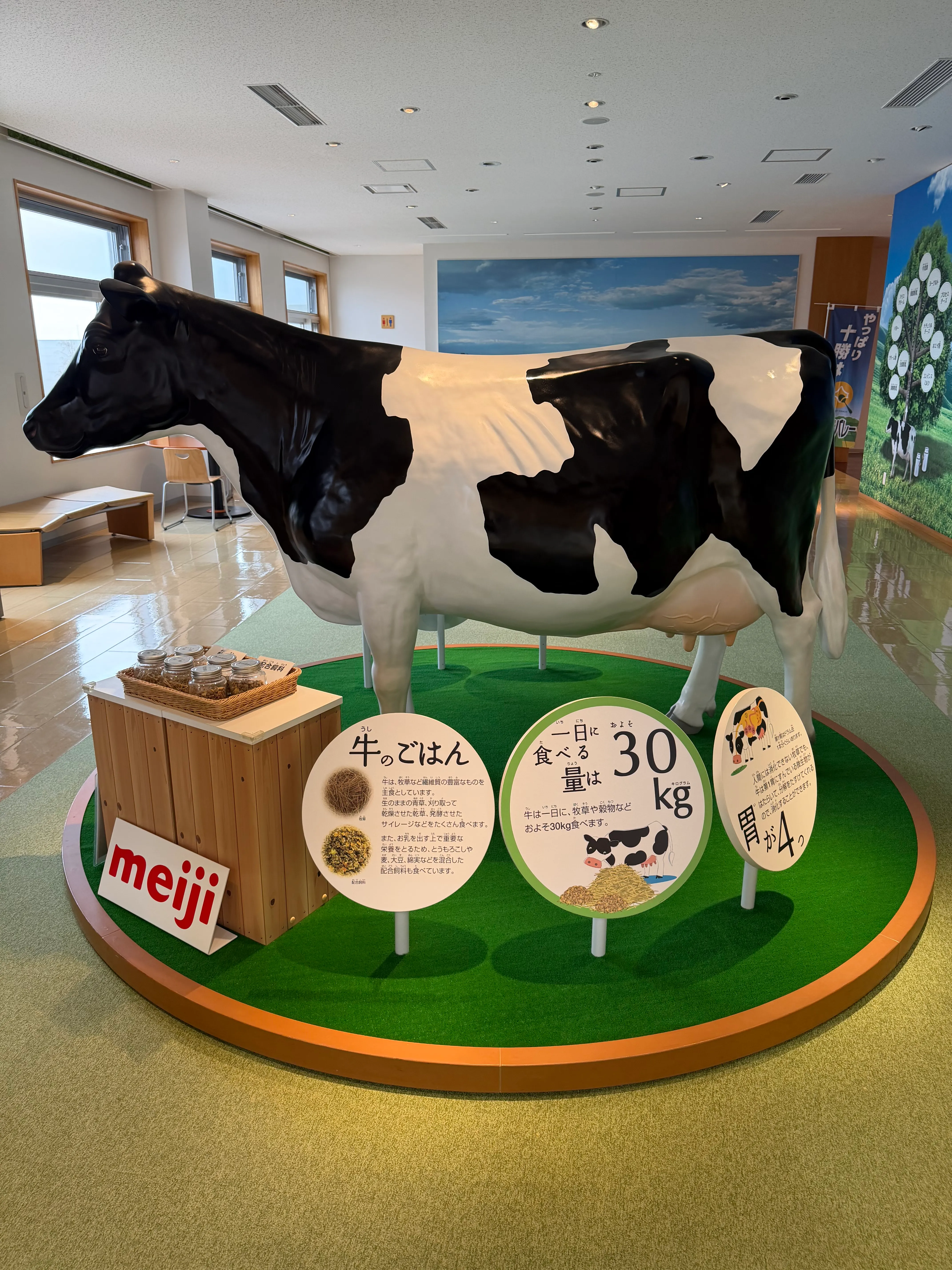 見学施設内の牛の模型とmeiji展示コーナー