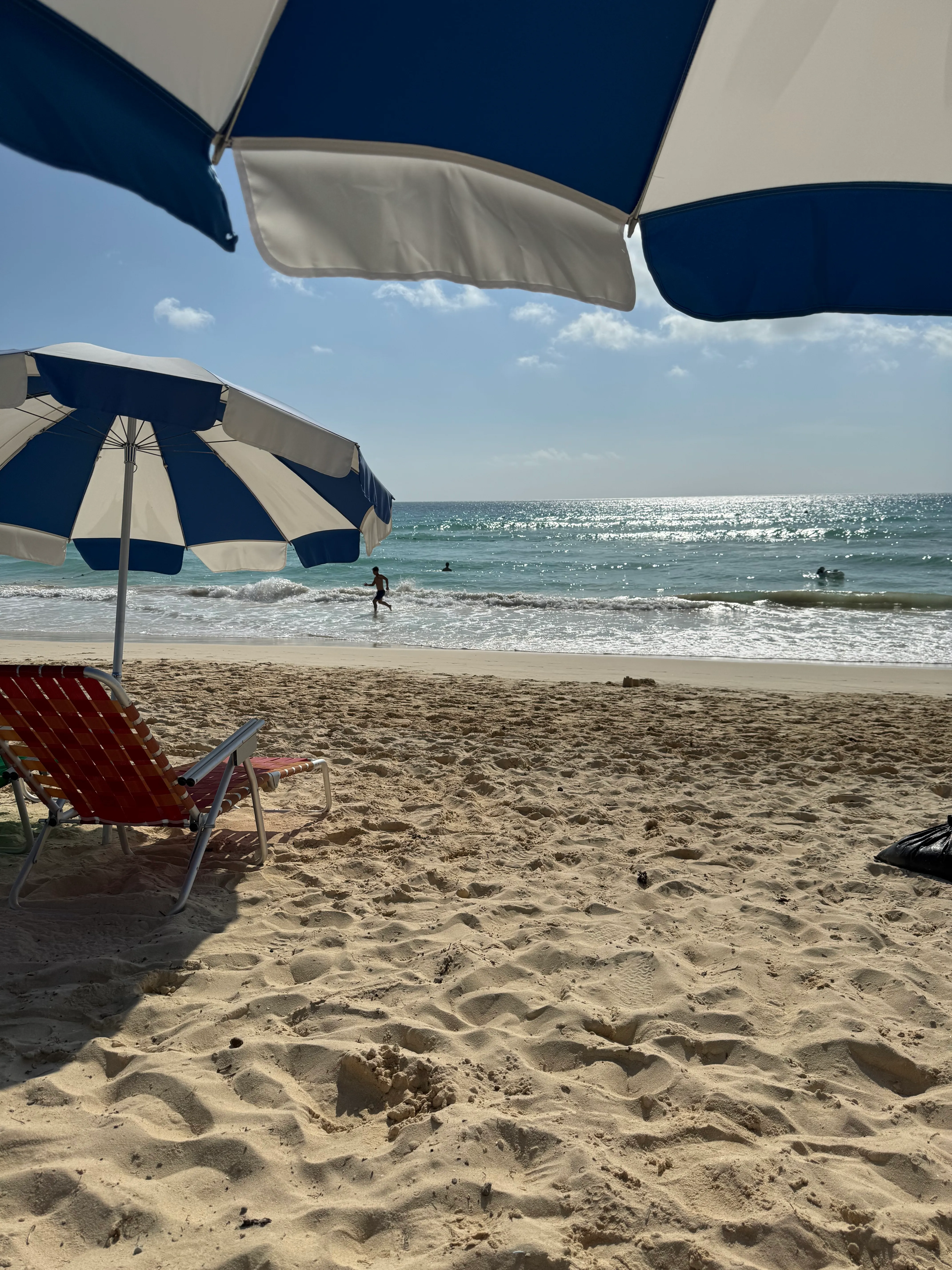 プライベートビーチのパラソルと砂浜と海