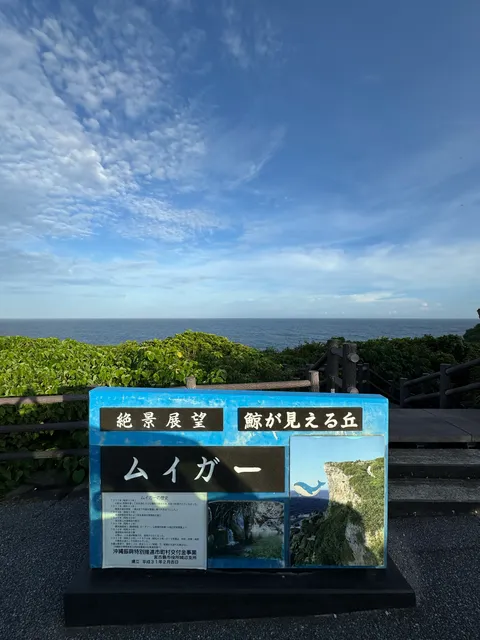 ムイガー（鯨が見える丘）｜城辺の断崖から望む、荒々しい宮古の海岸線