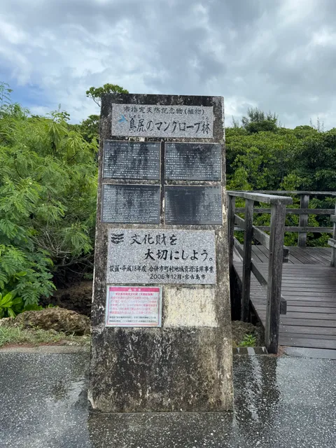 島尻のマングローブ林｜天然記念物の干潟と、赤いカニと鳥に出会うボードウォーク