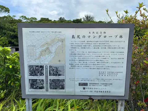 島尻のマングローブ林｜天然記念物の干潟と、赤いカニと鳥に出会うボードウォーク