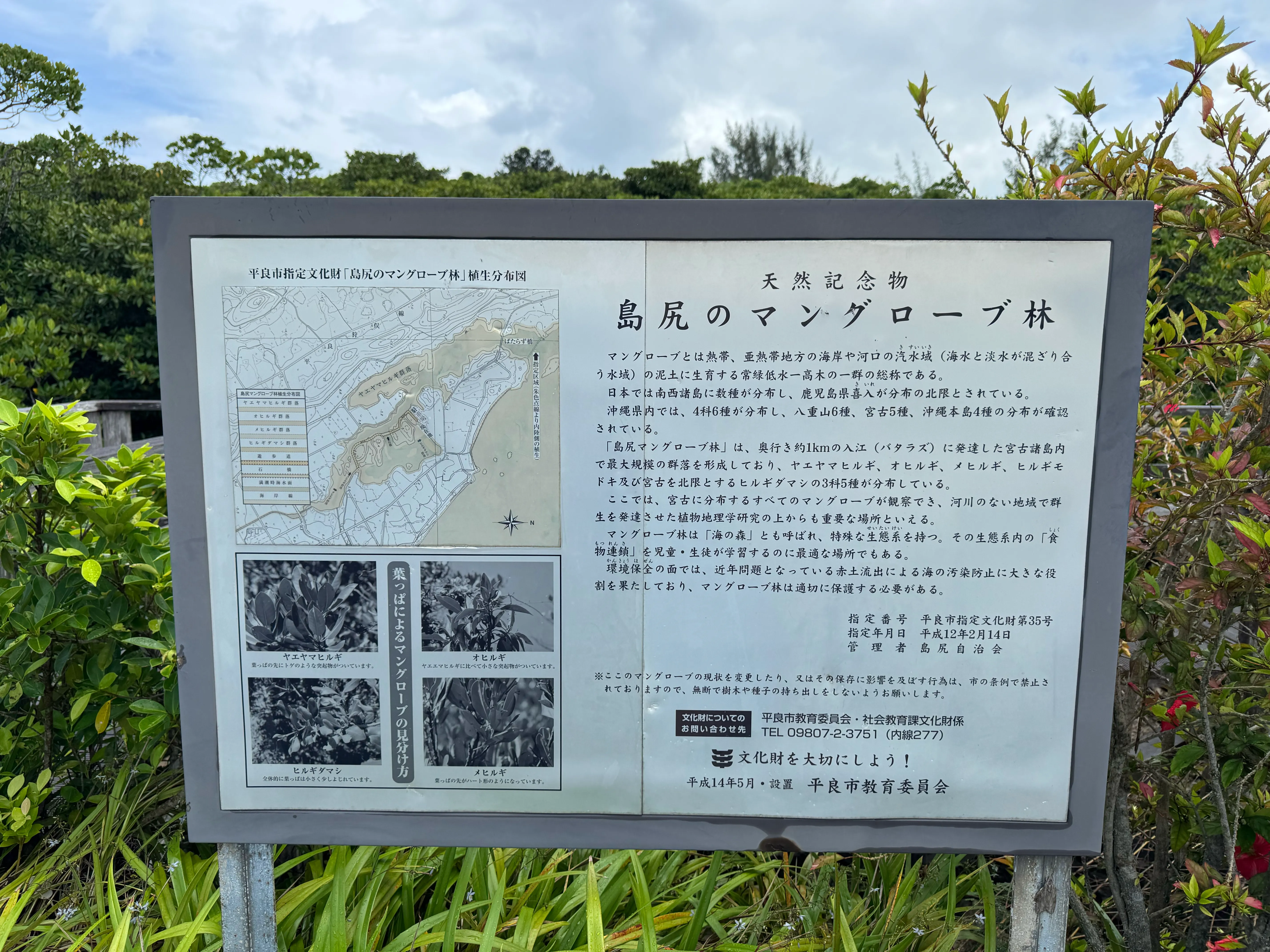 島尻のマングローブ林・天然記念物説明板